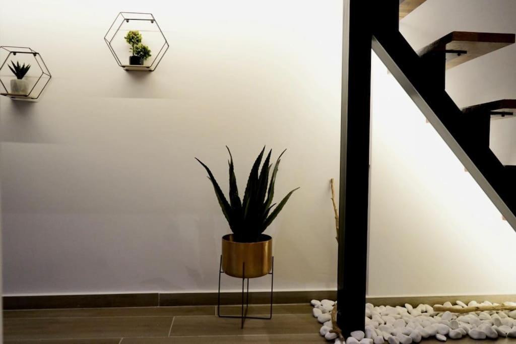 Cosy Loft Apartment พาทรา ภายนอก รูปภาพ